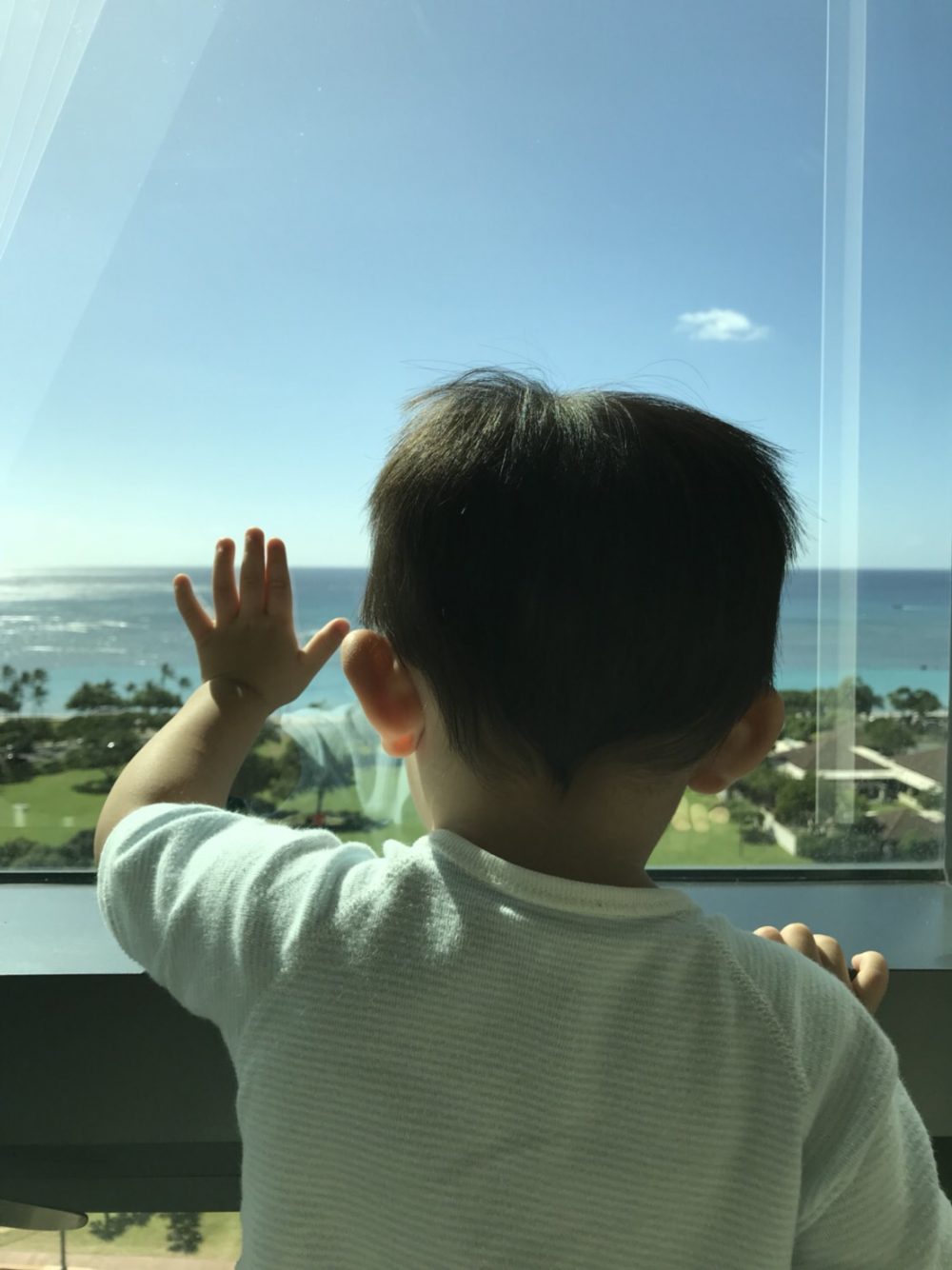 2017/12/S__17686540.jpg