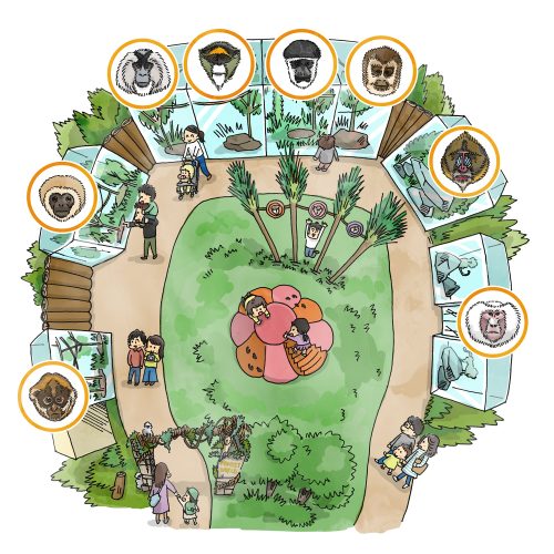 5組10名様ご招待！東武動物公園で〝モンキーライ …