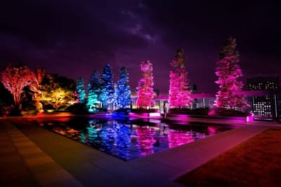 大人気のteamLab！GINZA SIXの屋上庭園にも出現