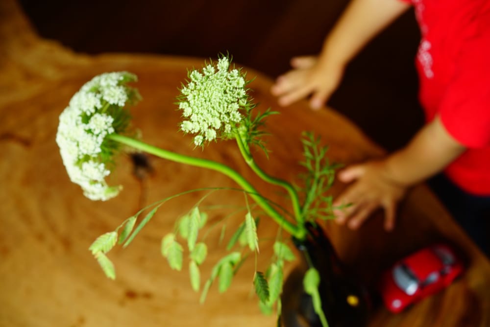 2019/07/S__40755384.jpg