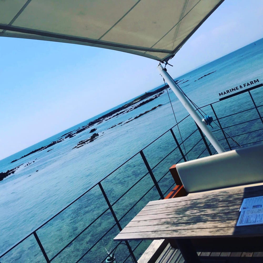 2019/08/S__41443454.jpg