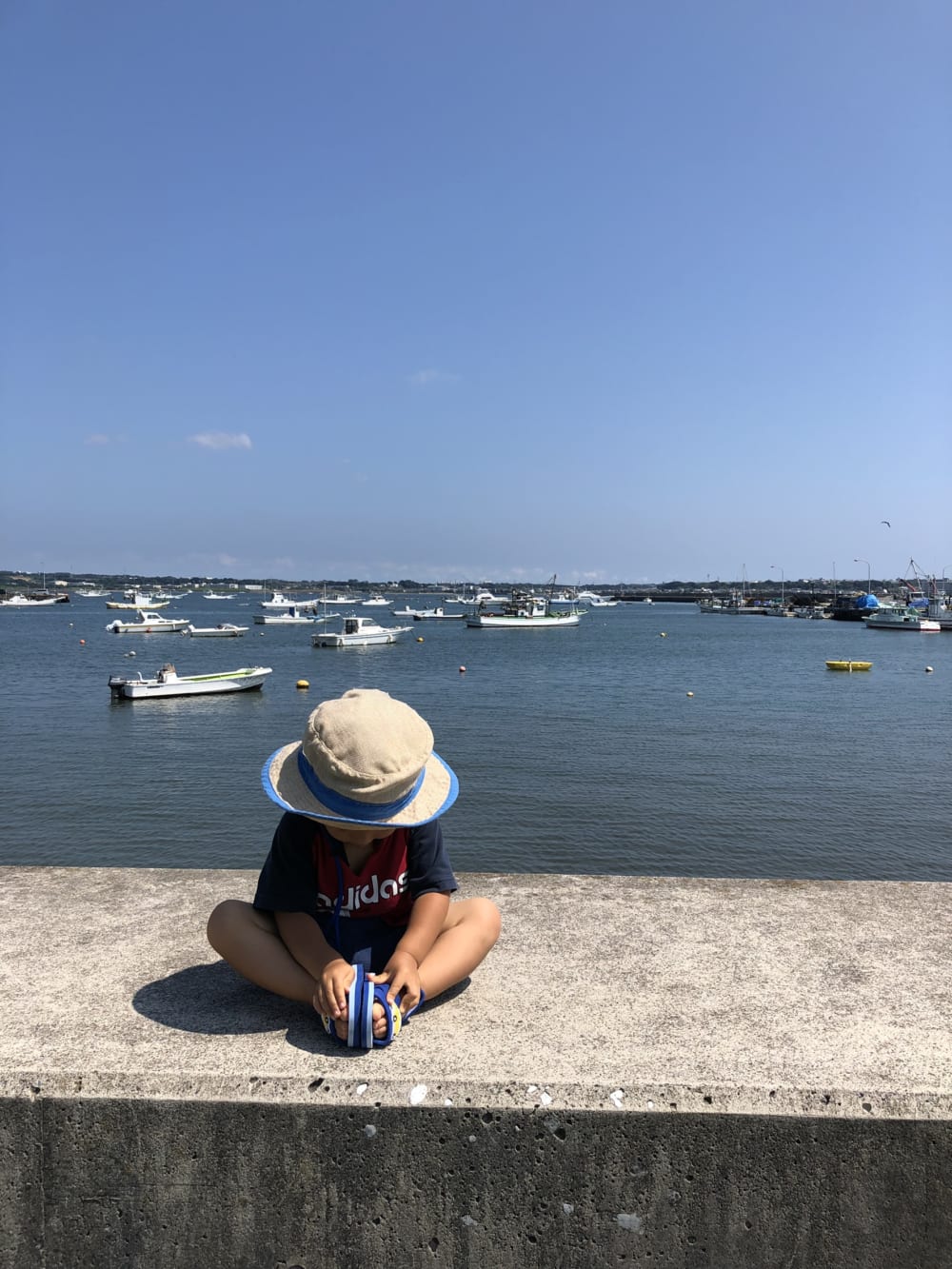 2019/08/S__41443455.jpg