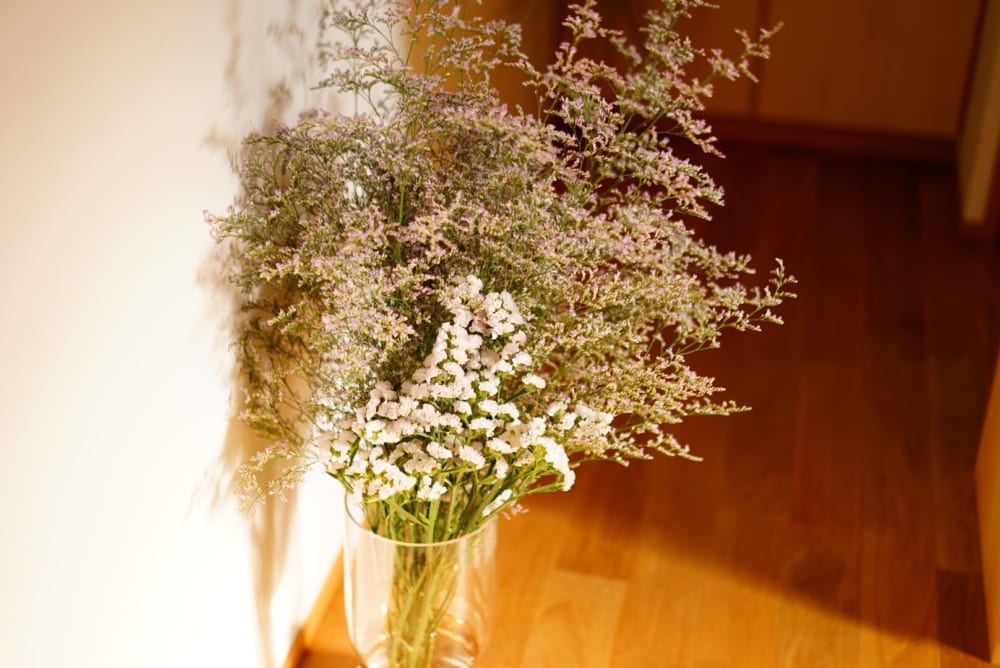 2019/08/S__41443457.jpg
