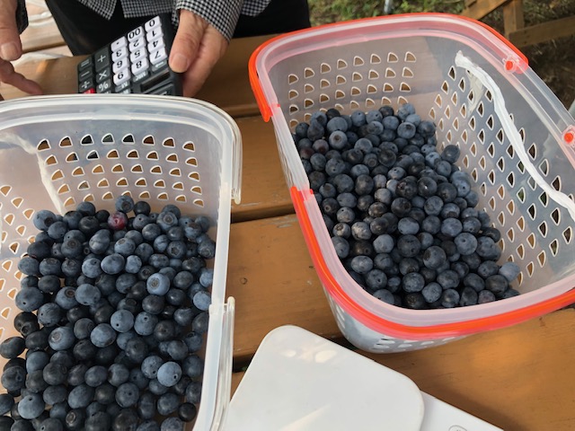 2019/09/8169add18e93b0f7c94cd8e7fbe321c5.jpg