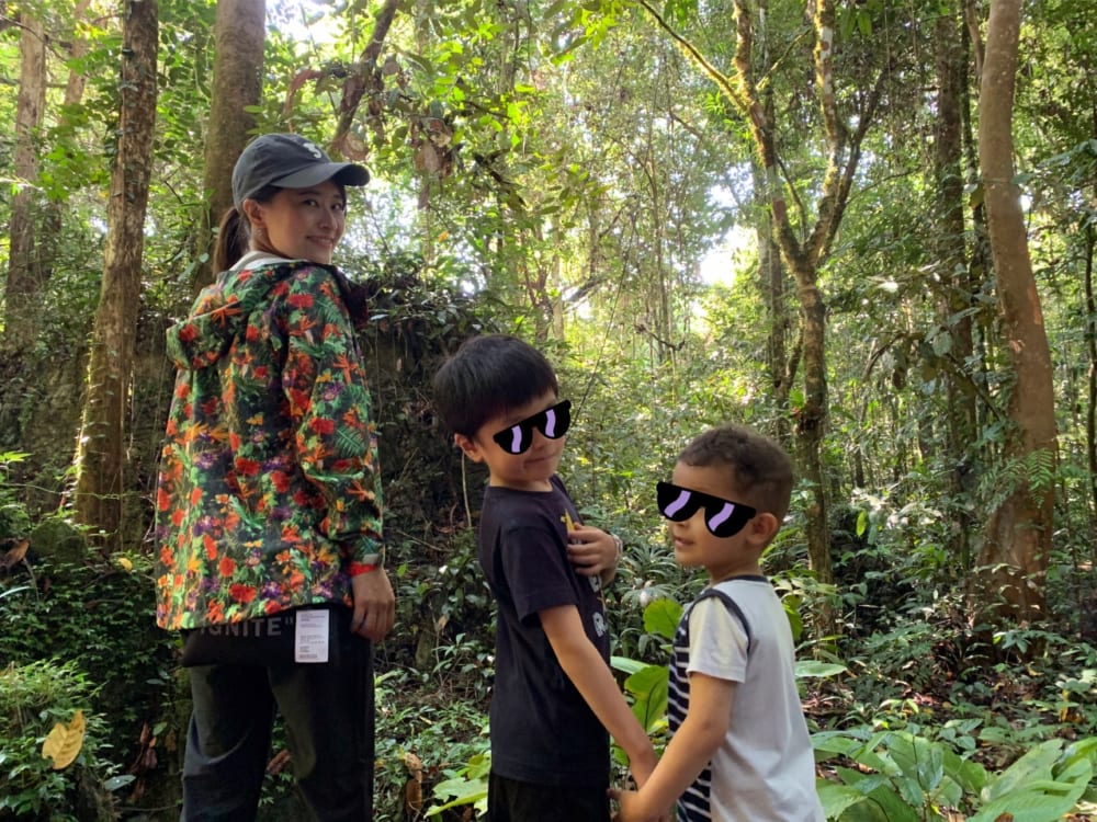 2019/09/jungle1.jpg