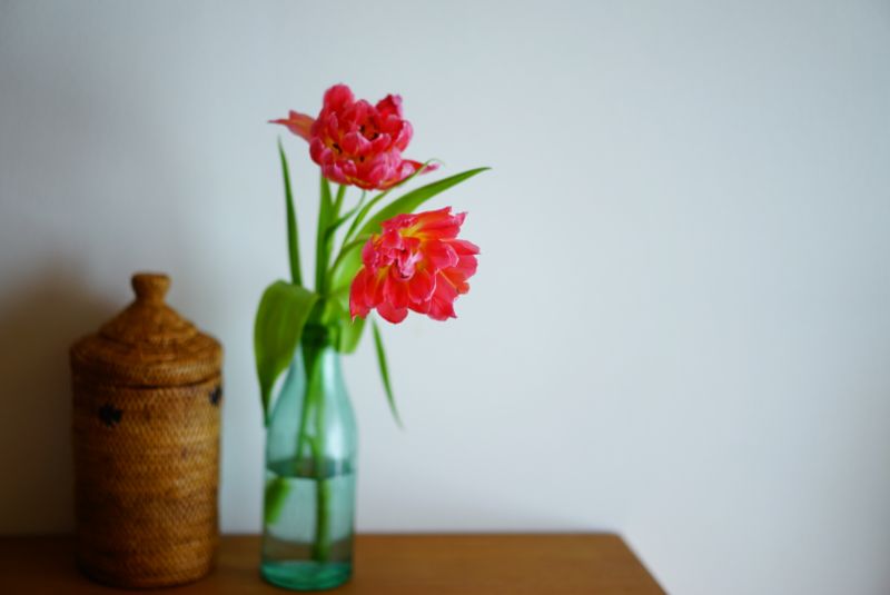 2019/11/DSC08250.jpg
