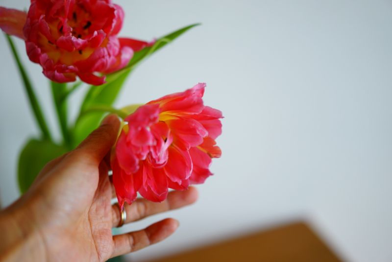 2019/11/DSC08251.jpg