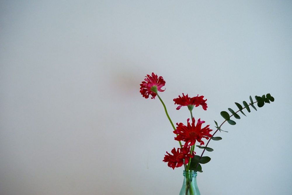 2020/04/DSC01131.jpg