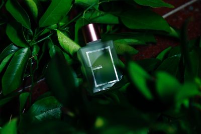 はじめてのオイル美容にも！おうち時間にEUDITION OILで潤いとリラックスを