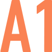 A1