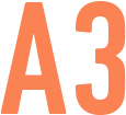 A3