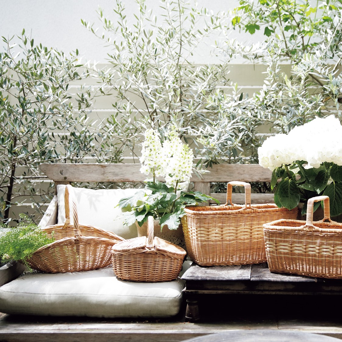 03bbfe7365fb390978536cfae6b824