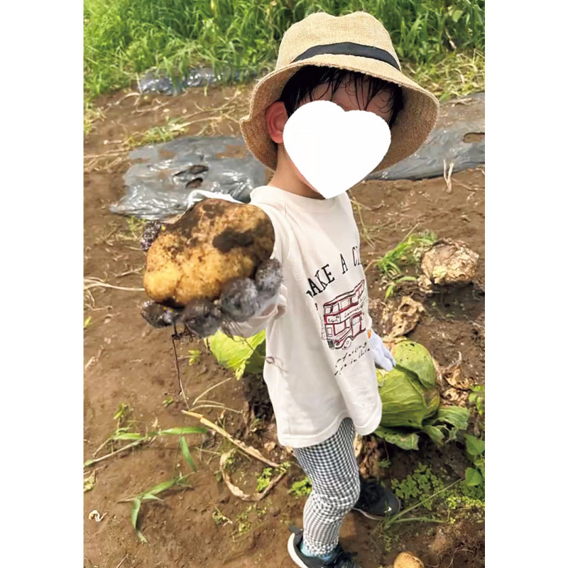 山内ぶどう園＠調布市仙川の「野菜収穫体験」