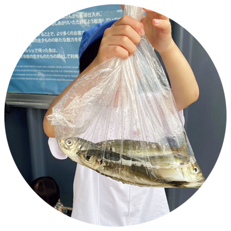横浜・八景島シーパラダイスうみファームの「魚釣り」
