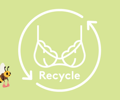 使わなくなったブラ、どうしてる？トリンプが不要なブラの「リサイクルキャンペーン」を実施