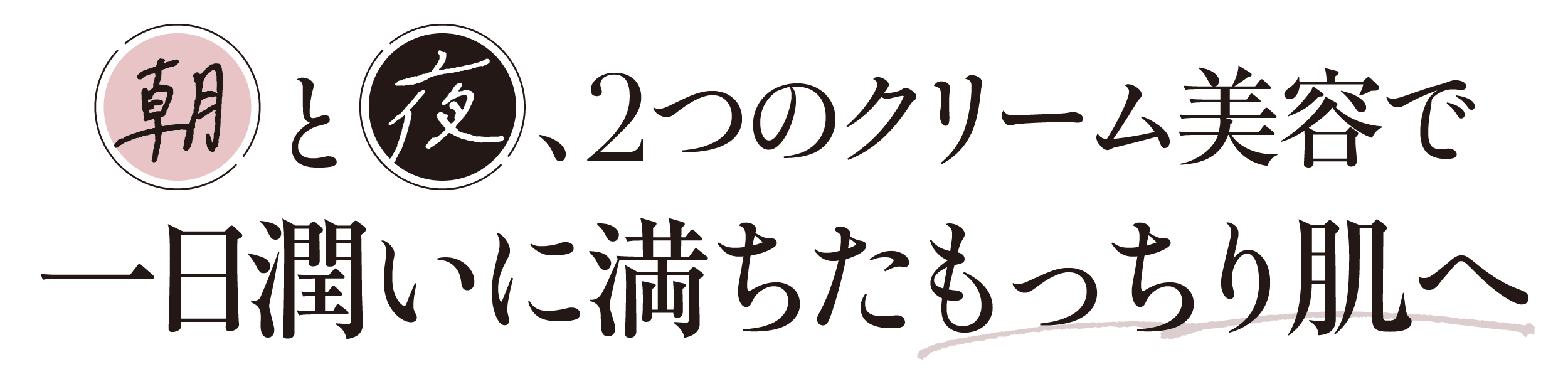 朝と夜、2つのクリーム美容で一日潤いに満ちたもっちり肌へ