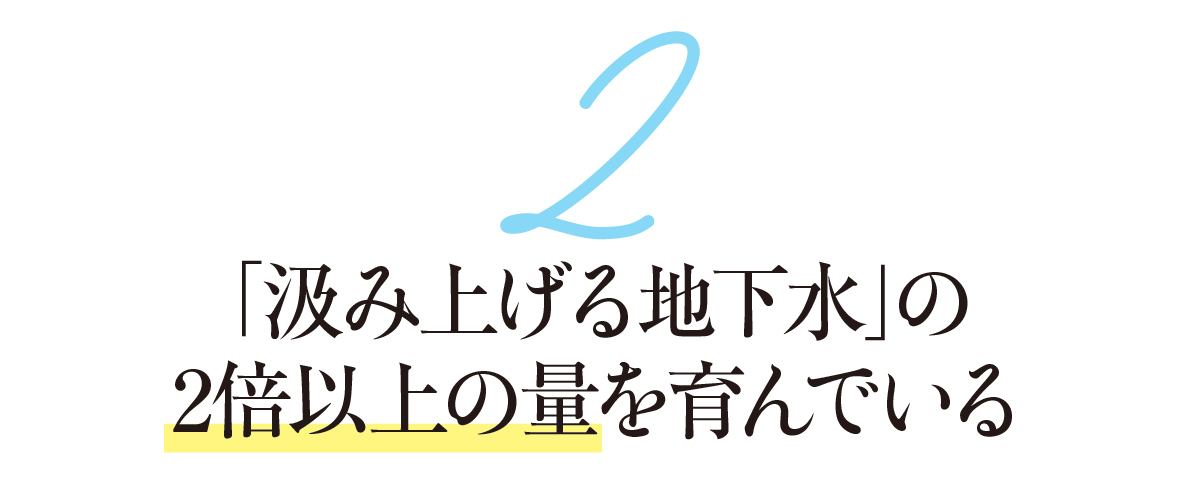2-「汲み上げる地下水」の2倍以上の量を育んでいる