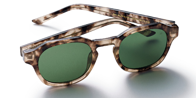 エキアビドのべっ甲フレームのサングラス