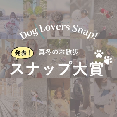 【犬VERY】「真冬のお散歩SNAP大賞」入賞作品を発表！