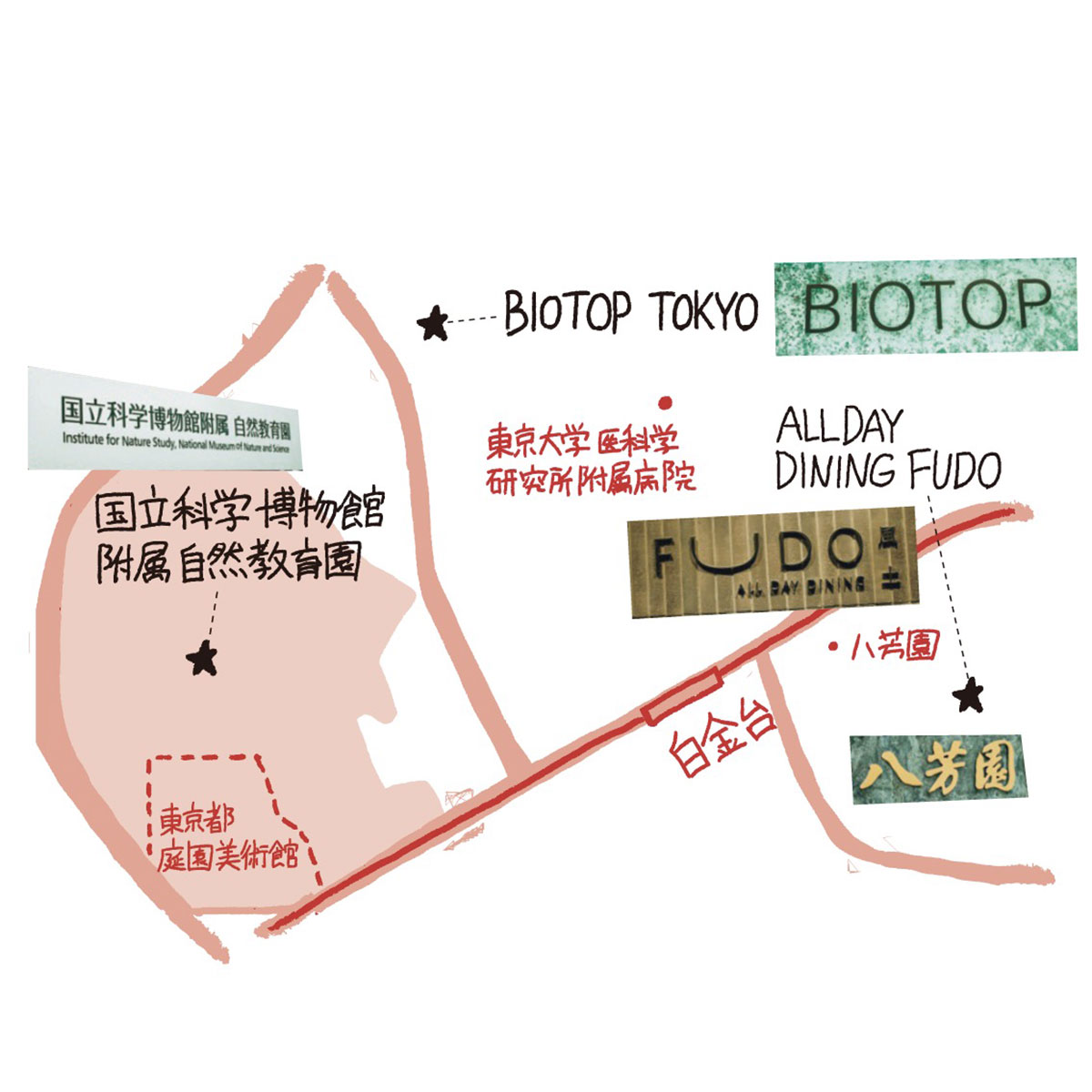 紹介した３箇所への地図
