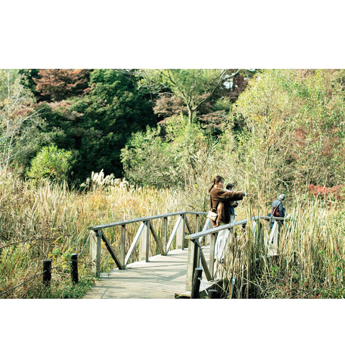 園内の橋を渡る夏菜さんと子ども