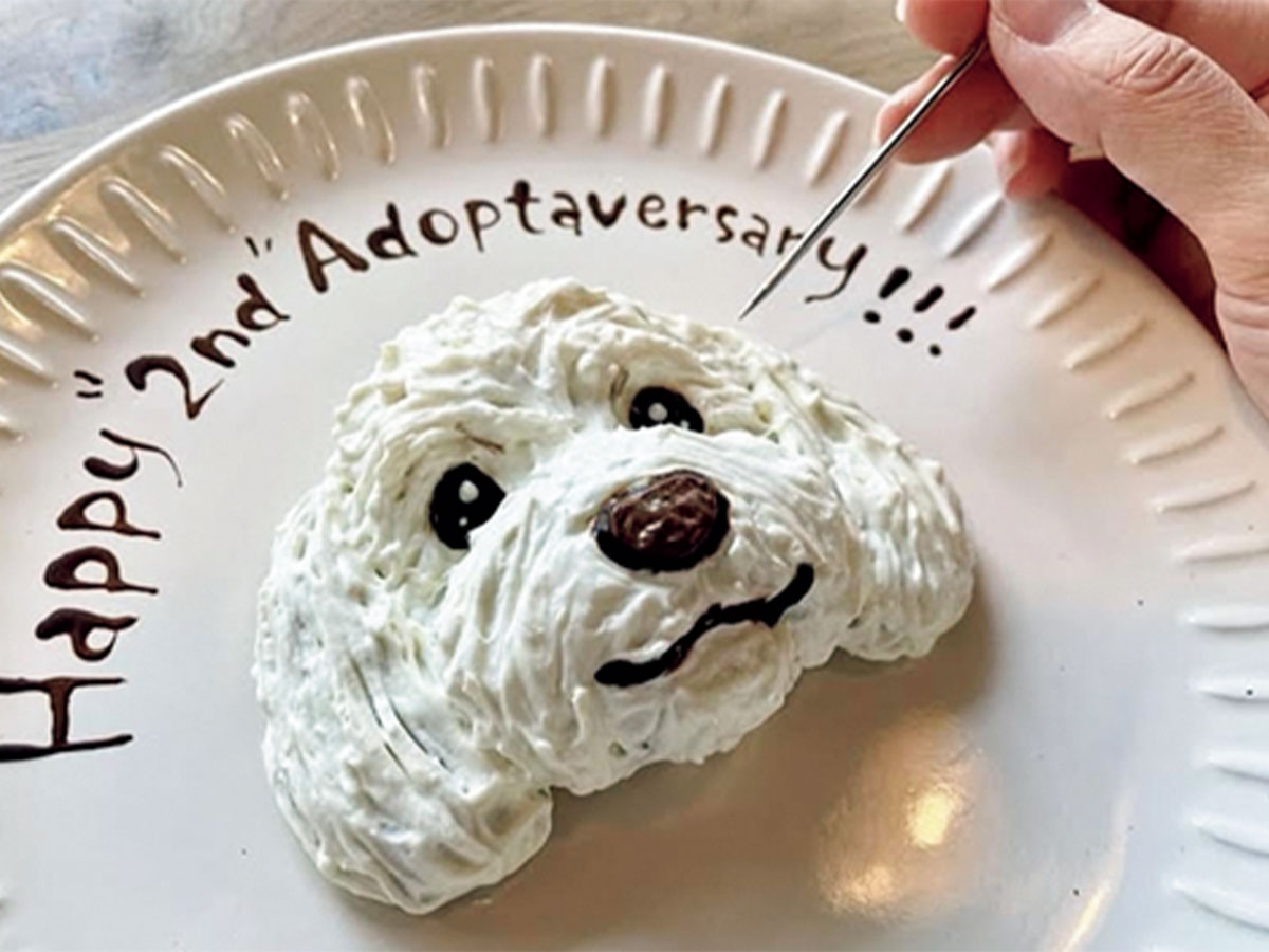 ワンちゃんの顔の可愛いケーキ