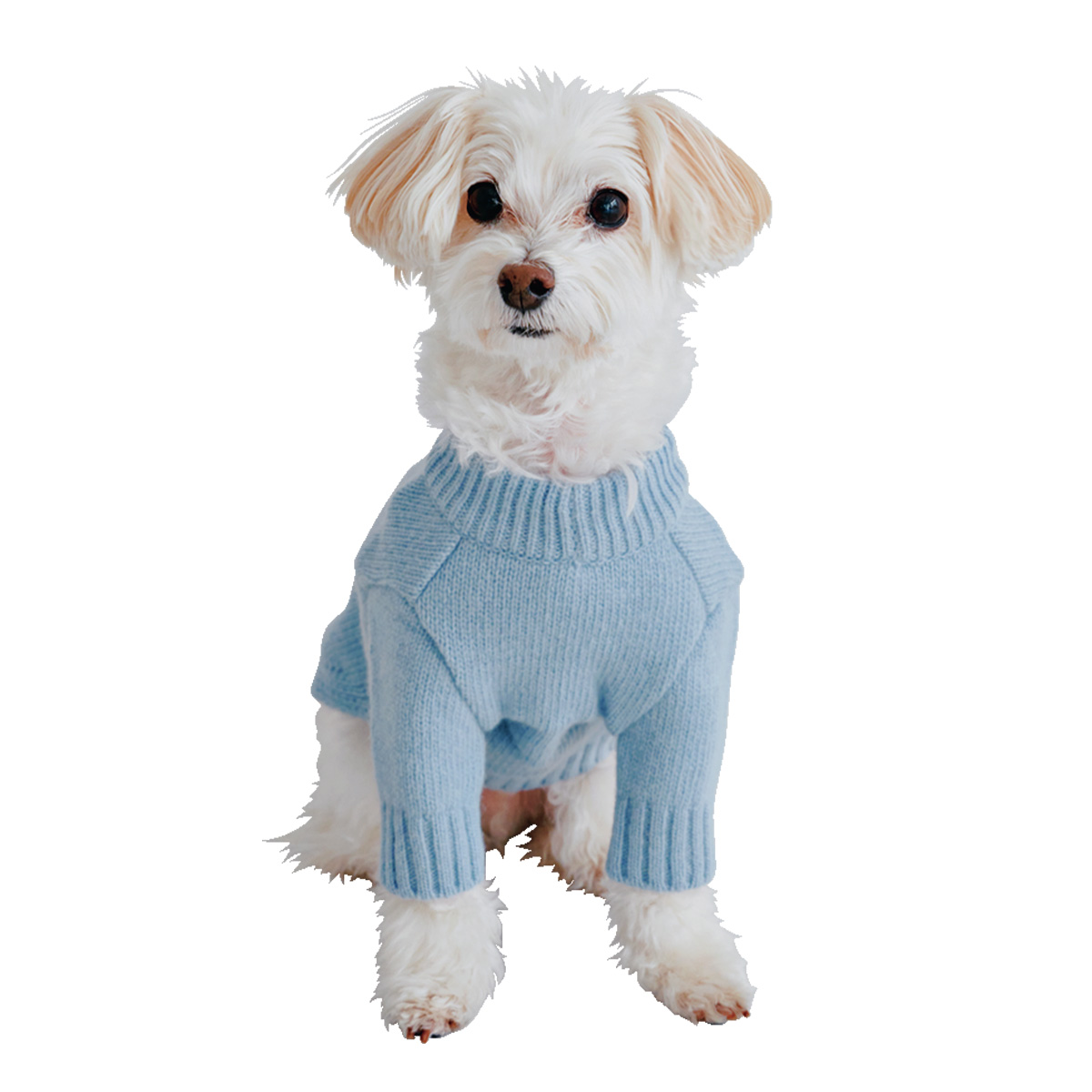 スモールスタッフの犬用ニット