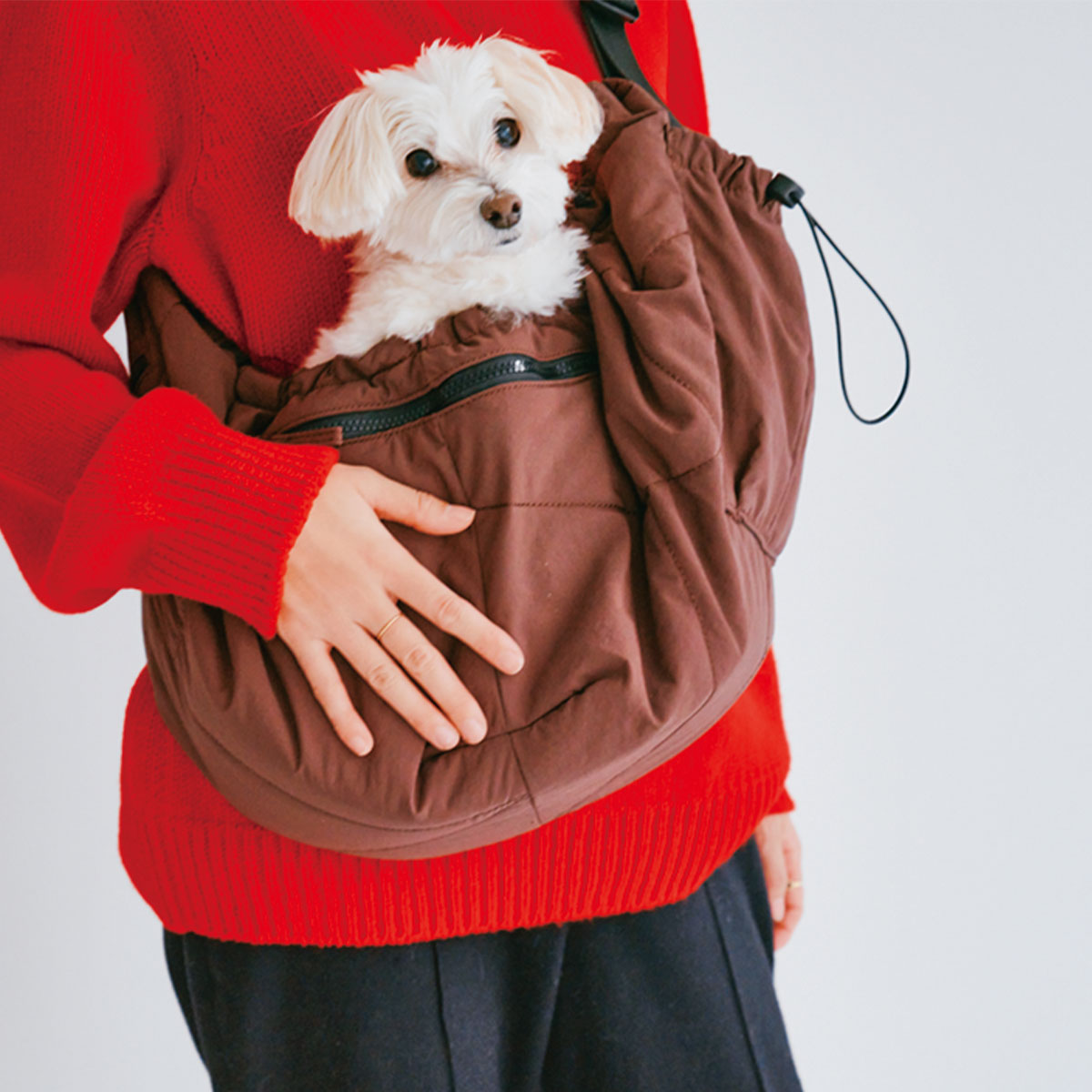 メイティのわんちゃん移動バッグ