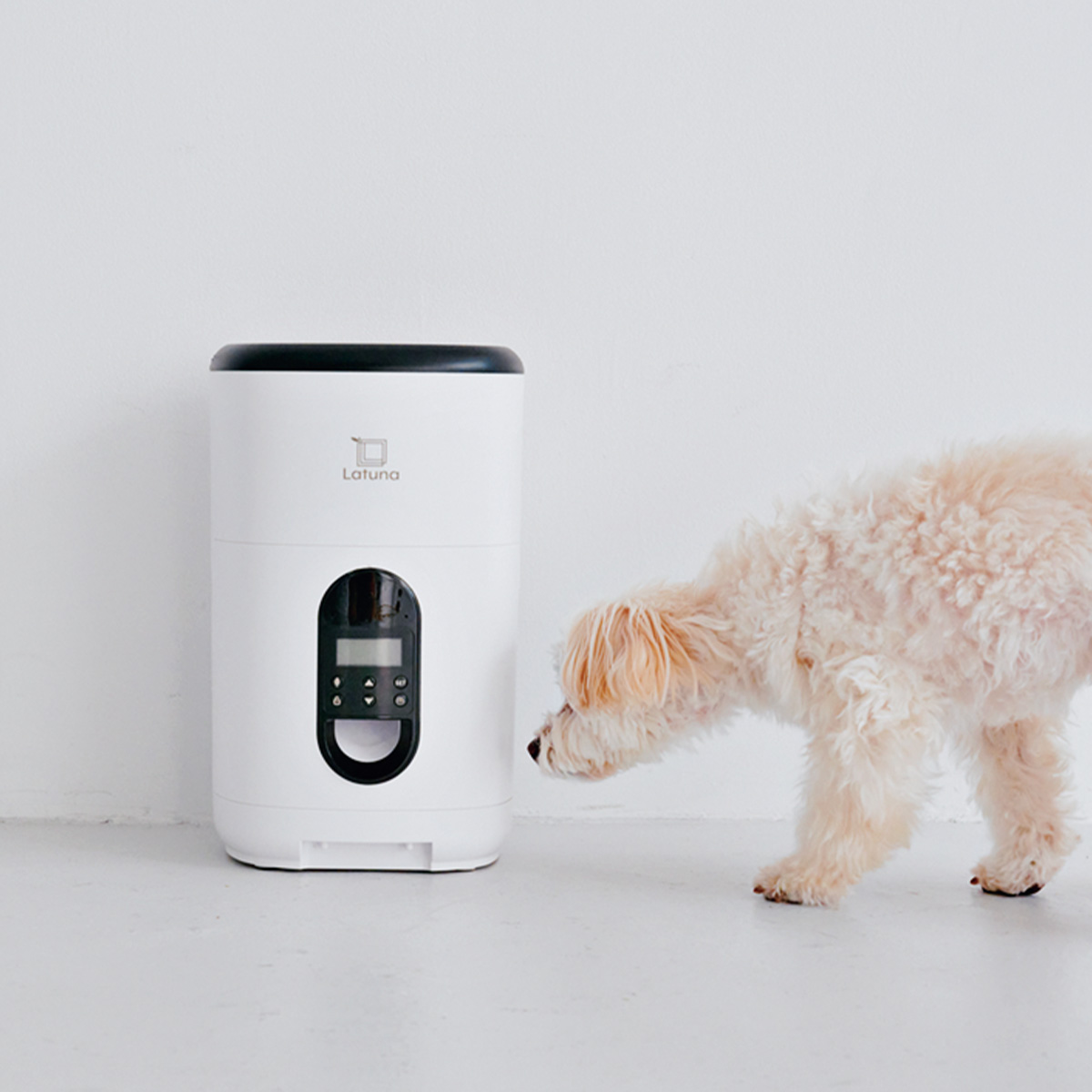 タイマー式自動給餌機