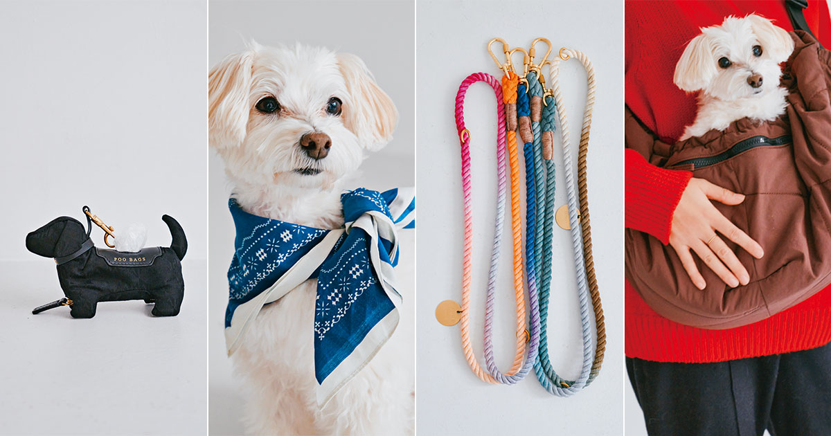 実用性とおしゃれを両立する愛犬グッズたち