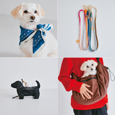オシャレな人に聞いた犬連れリード、グッズetc.実用性と可愛さ両立「わんこトレンド」