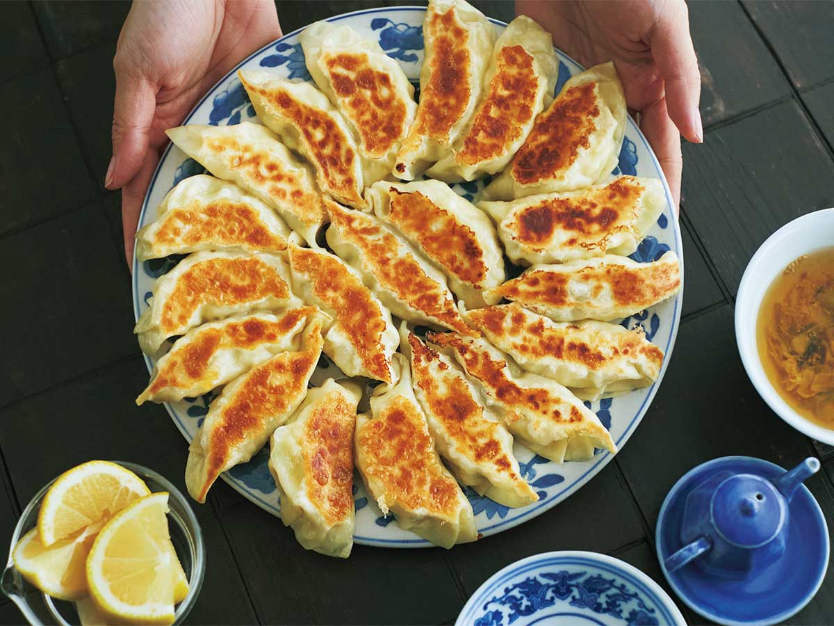 長谷川あかりさんレシピのしらすとキャベツの肉餃子