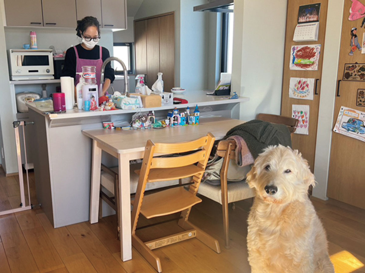 家事をするハウスキーパーさんと犬