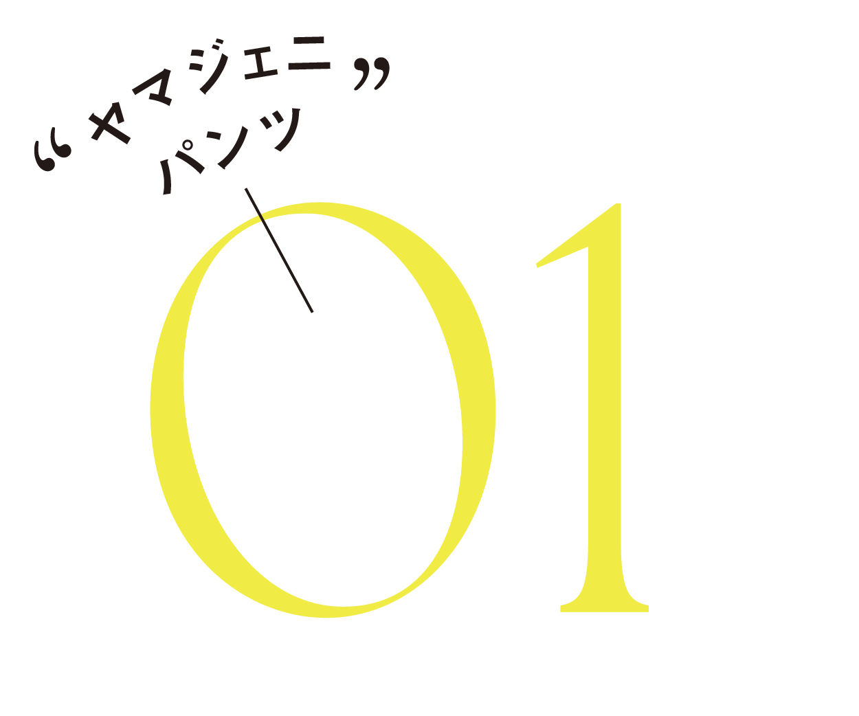 “ヤマジェニパンツ”-01