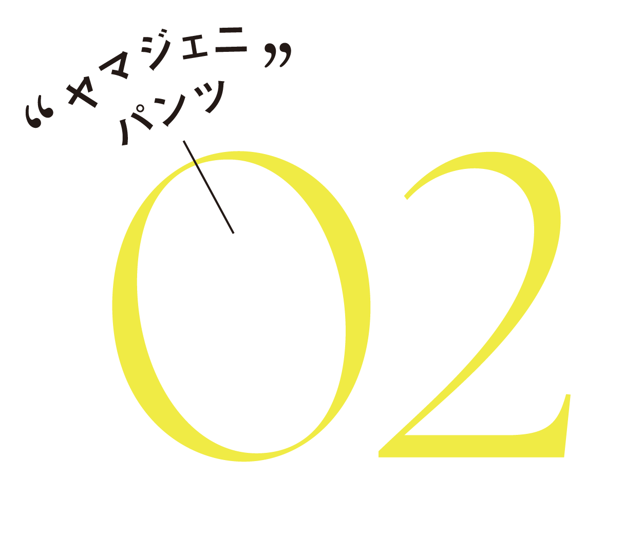 “ヤマジェニパンツ”-02