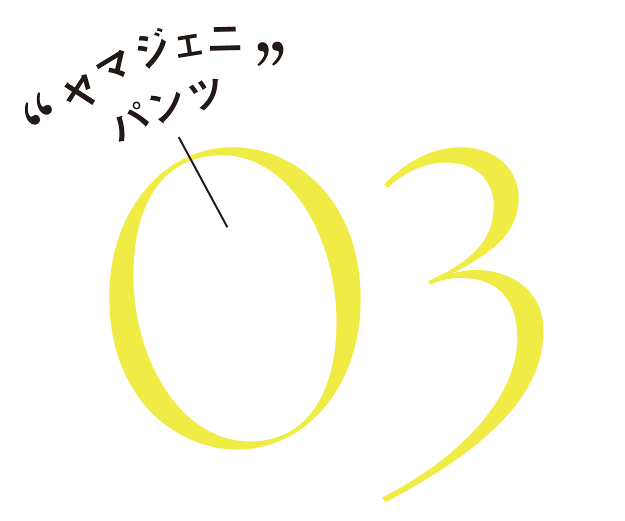 “ヤマジェニパンツ”-03