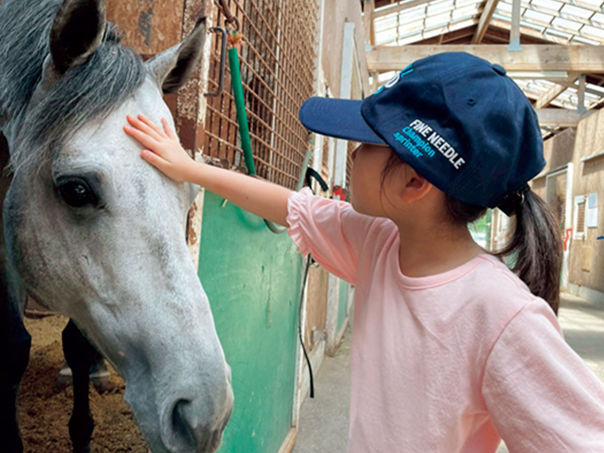 北海道で馬と触れ合う女の子