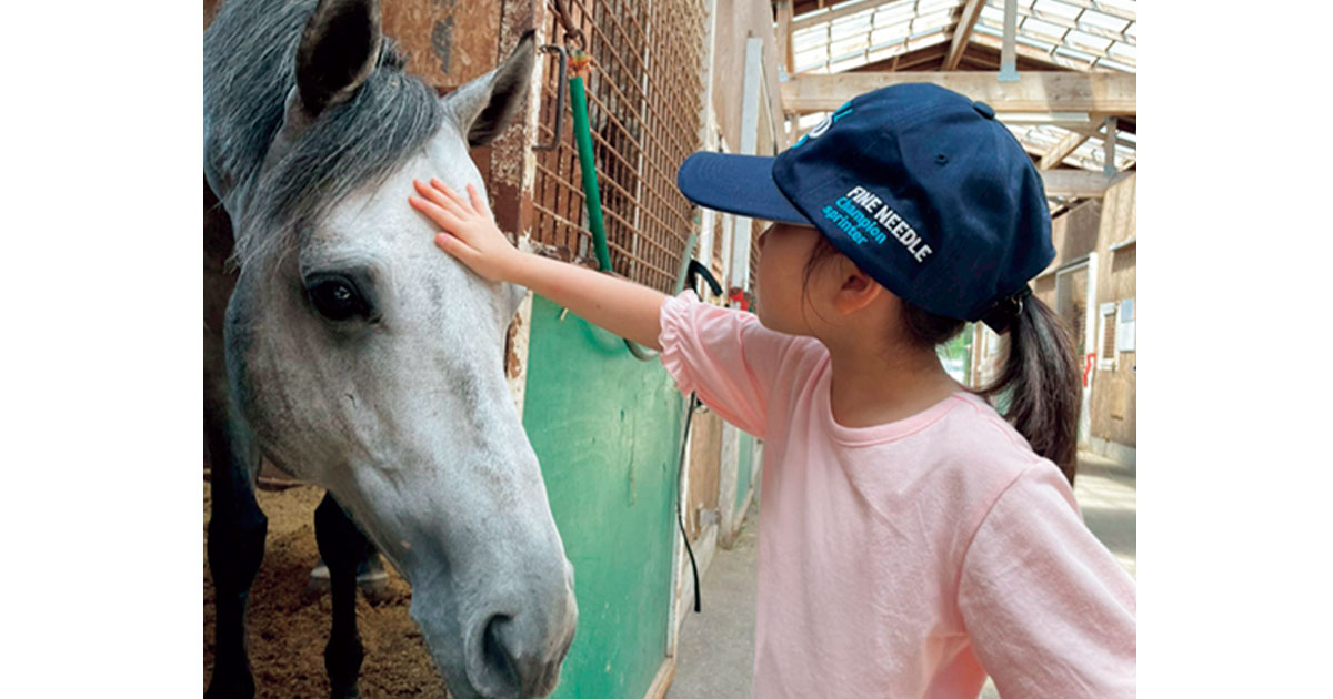 北海道で馬と触れ合う女の子