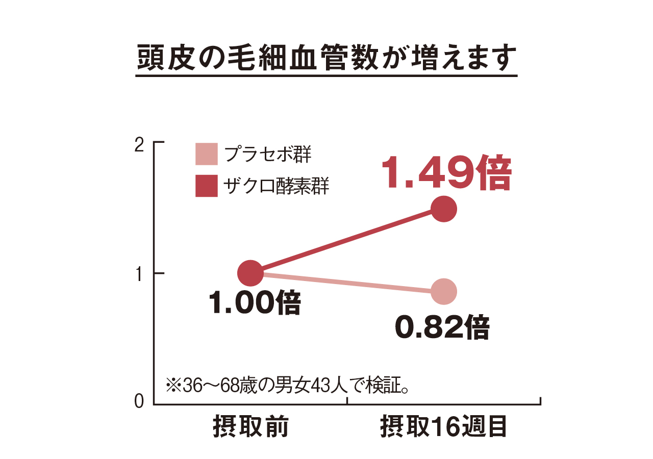 頭皮の毛細血管数が増えます