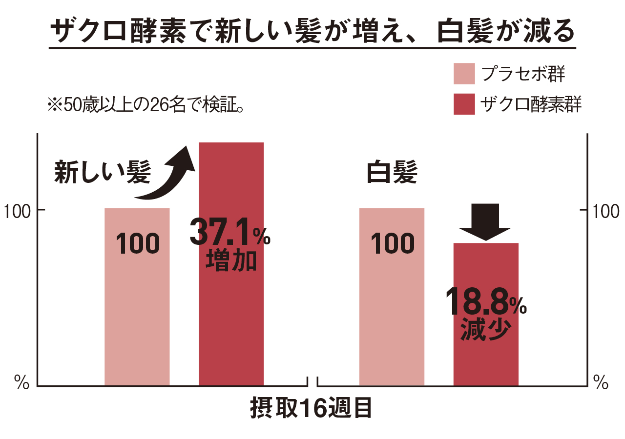 ザクロ酵素で新しい髪が増え、白髪が減る