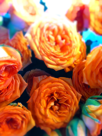 今日は 滝沢眞規子 Very公式ブログ ブログ Very ヴェリィ 公式サイト 光文社 今日は 滝沢眞規子 Very公式ブログ ブログ Very ヴェリィ 公式サイト 光文社